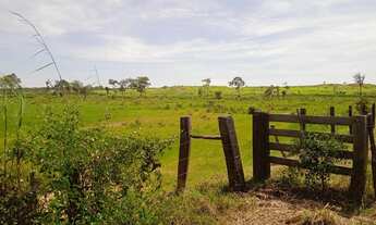 Imagem 3: Fazenda no vale do araguaia