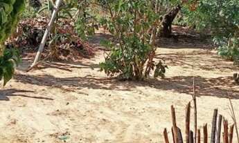Imagem 4: Chácara para Venda em São Miguel Arcanjo, Pocinho, 3 dormitórios, 1 suíte, 20 vagas
