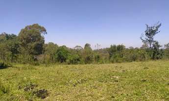 Imagem 4: Área para Chácara em Campo Magro