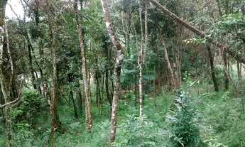 Imagem 7: Nova Lima - Loteamento/Condomínio - Pasárgada