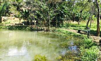 Imagem 4: CHÁCARA - CALDAZINHA GO