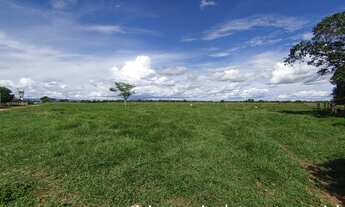 Imagem: Fazenda à venda, tripla aptidão, 500 hectares