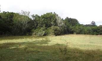 Imagem 3: Porto Alegre - Terreno Padrão - Lami