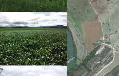 Imagem 2: EXCELENTE FAZENDA LOCALIZADA NO CENTRO OESTE GOIANO, 180 KM DISTANTE DE BRASÍLIA