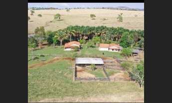 Imagem 6: Fazenda 67 Alqueires Plana 30 a 40 Alqueires de Soja. Regiao jaragua