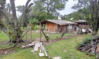 Imagem 6: Porto Alegre - Sítio - Ponta Grossa