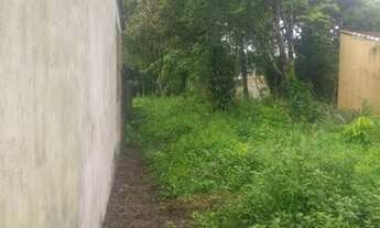 Imagem 4: Terreno litoral sul itanhaem