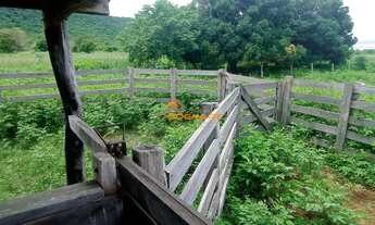 Imagem: FAZENDA DE 226 HECTARES REGIÃO DE AGROVILA