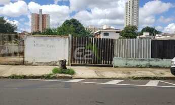 Imagem: SãO CARLOS - Terreno Padrão - Jardim São