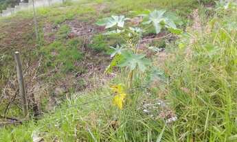 Imagem 5: Lote/Terreno para venda tem 500 metros quadrados em Quintas das Avenidas - Juiz de Fora