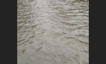 Imagem 8: Sítio de 31 hectares - 5KM de Água Fria