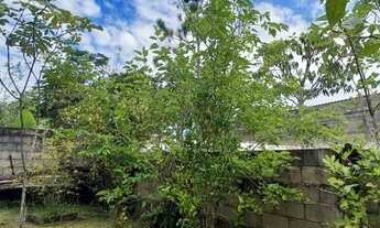 Imagem: Mini chácara com pomar em Itanhaém-SP