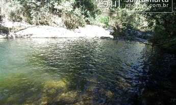 Imagem 3: FAZENDA LEITE/CORTE - MUITA ÁGUA - 1.300M ALTITUDE - SILVEIRAS - SP