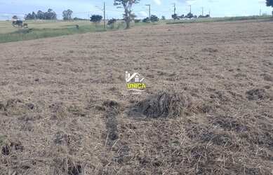 Imagem 2: TERRAE GUARAREMA ; ÚNICA IMÓVEIS-SP. RESIDENCIAL; JEQUITIBÁ