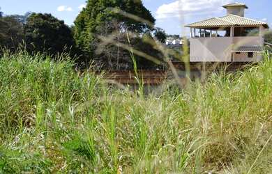 Imagem 6: Lote/Terreno Bairro Trevo - Belo Horizonte