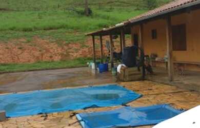 Imagem 5: Fazenda formada 14 ha