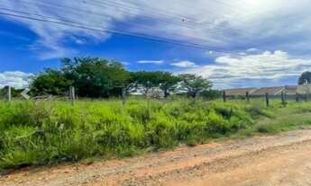 Imagem 7: Terreno de 7.500 m² em Ponta Grossa