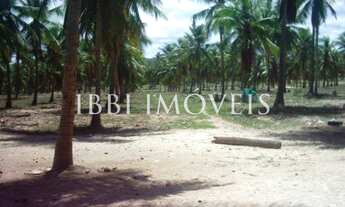 Imagem 4: Grande Terreno Beira Mar