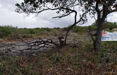 Imagem 3: Vende-se Terreno em Pium