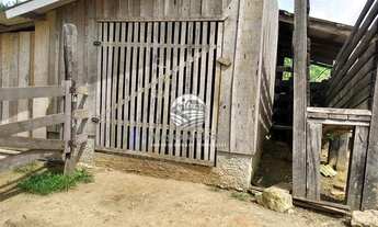 Imagem 6: Monte Negro - Chácara - 8.5 Alqueires