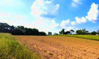 Imagem 2: O/26 * Adquirir uma bela vista em Cotia-SP