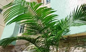 Imagem 3: Cobertura com 2 quartos (1 suíte) à venda, 130 m² por R$ 400.000 - Granbery - Juiz de Fora