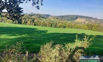 Imagem 3: Fazenda de 58 hectares para soja, Sentinela do Sul, confira!