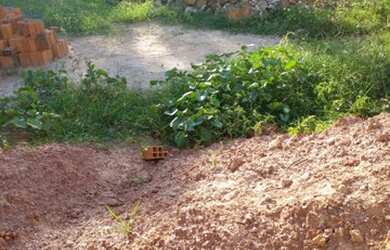 Imagem 4: Terreno com casa/salão de festa