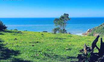 Imagem 4: Terreno à venda, 17400 m² por R$ 3.500.000,00 - Praia da Ferrugem - Garopaba/SC