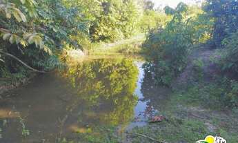 Imagem 2: Fazenda com 3 Hectares à Venda no Litoral Norte da Bahia - Conde. Sítio Localizado Próximo