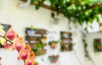 Imagem 3: Casa para venda possui 161 metros quadrados com 3 quartos