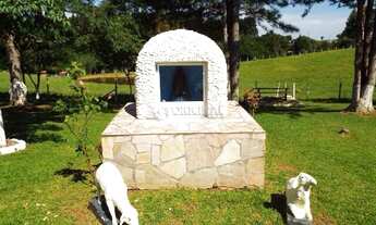 Imagem 12: CHACARA PARA VENDA