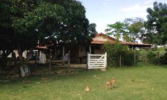 Imagem: Fazenda na Região do Paraíso do Manso