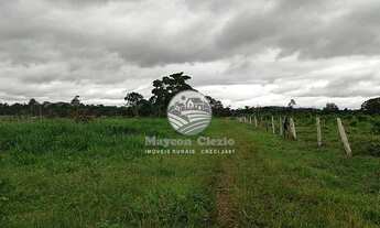 Imagem 2: Ariquemes - Sítio - 20 alqueires