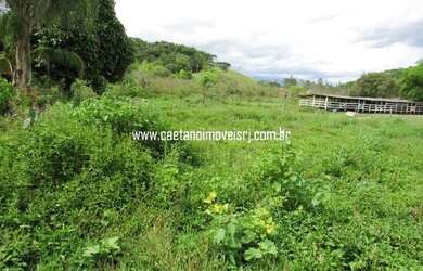 Imagem 5: Terreno excelente para montar seu sítio (Escritura e RGI