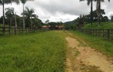 Imagem 6: EXCELENTE FAZENDA LOCALIZADA NO CENTRO OESTE GOIANO, 180 KM DISTANTE DE BRASÍLIA