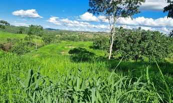 Imagem: Fazenda 60 alqueires região padre Bernardo