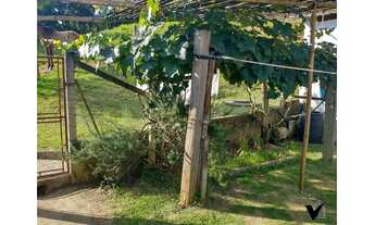 Imagem 2: Chácara a Venda em Socorro - SP