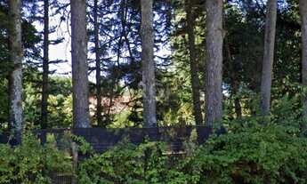 Imagem 6: Porto Alegre - Sítio - Belém Velho