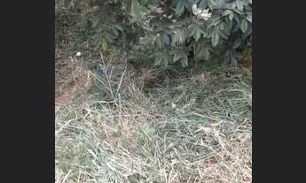 Imagem 7: Venda Commercial / Land Lot Belo Horizonte MG