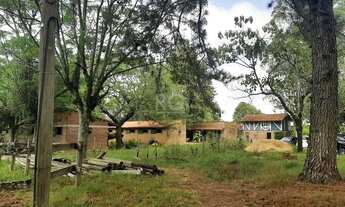 Imagem 4: Porto Alegre - Sítio - Campo Novo