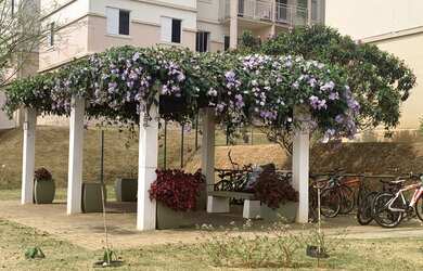 Imagem 4: Apartamento para venda tem 56 metros quadrados com 2 quartos em Chácara Bela Vista - Sumar