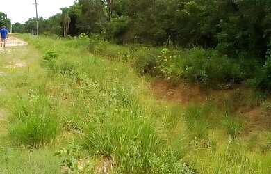 Imagem 3: CHÁCARA COXIM PRÓX AO RIO TAQUARI