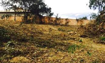 Imagem 6: Lote Fernão Dias