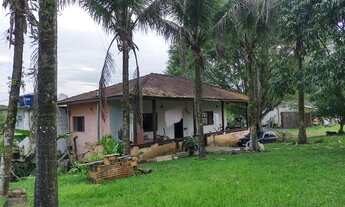 Imagem 4: Sítio 20 alqueires Plano ( Willian Ricardo