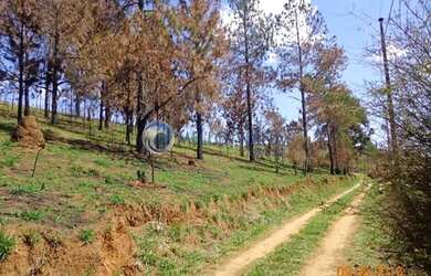 Imagem 7: Terreno rural em condomínio fechado no lugar privilegiado em Pouso Alto MG