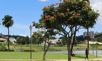 Imagem: NOVA LIMA - Loteamento/Condomínio - Alphaville