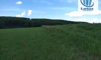 Imagem 4: Fazenda à venda, 220,22 hectares por R$ 20.000.000 - Area Rural - Itapira/SP