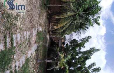 Imagem 7: Terreno para venda com 7.238,50m² em Mangabeira Eusébio- R$ 1.275000,00