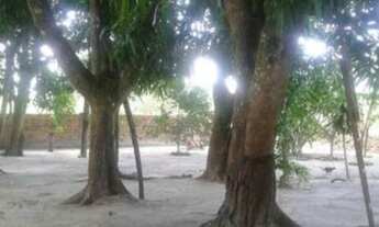 Imagem 3: CHACARA RESIDENCIAL em SÃO LUÍS - MA, ESTIVA